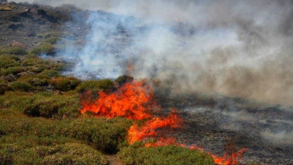 El incendio en Bajada del Agrio fue controlado por los Bomberos Voluntarios de Caviahue. Foto: Gentileza.&nbsp;