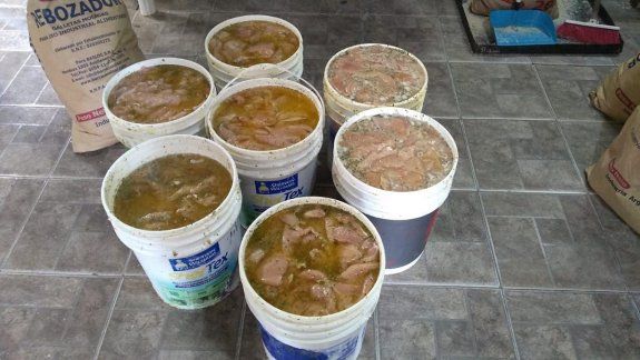 Asco: guardaban pechugas en baldes de pintura