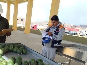 ¿que pasa con las paltas peruanas y el cadmio?