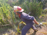 Esta medida busca prevenir daños ambientales, personales y patrimoniales ante el riesgo extremo de incendios en Neuquen. Foto: gobierno provincial.