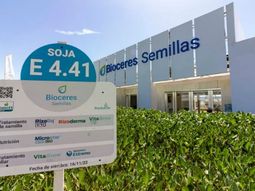 El colapso se aceleró tras incumplimientos de pagos y una guerra por el control que ahora escala al fuero penal. El colapso se aceleró tras incumplimientos de pagos y una guerra por el control que ahora escala al fuero penal.