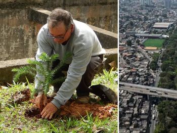El Parque Lineal de Tiquatira, un refugio de más de 41.000 árboles.