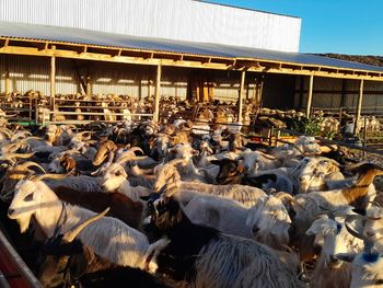 El plan de refugos otorga compensaciones de hasta $225.000 para mitigar los efectos de la sequía. El plan de refugos otorga compensaciones de hasta $225.000 para mitigar los efectos de la sequía.