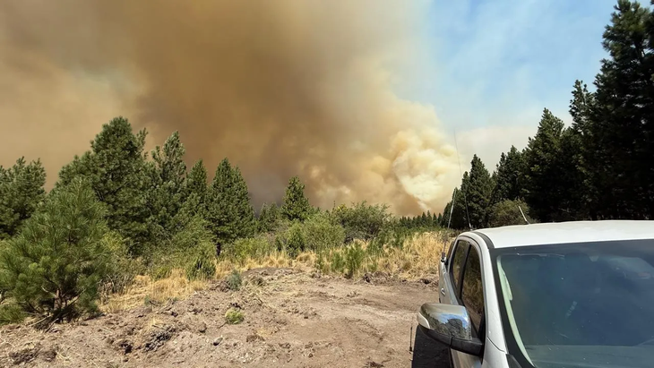 Pastizales arrasados y hacienda perdida: el impacto económico de los incendios exige respuestas rápidas y financiamiento accesible. Foto: Cadena 3 Pastizales arrasados y hacienda perdida: el impacto económico de los incendios exige respuestas rápidas y financiamiento accesible. Foto: Cadena 3