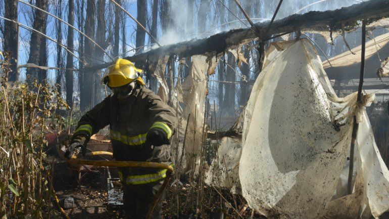 Un vivero afectado y varias casas en peligro por un incendio de pastizales