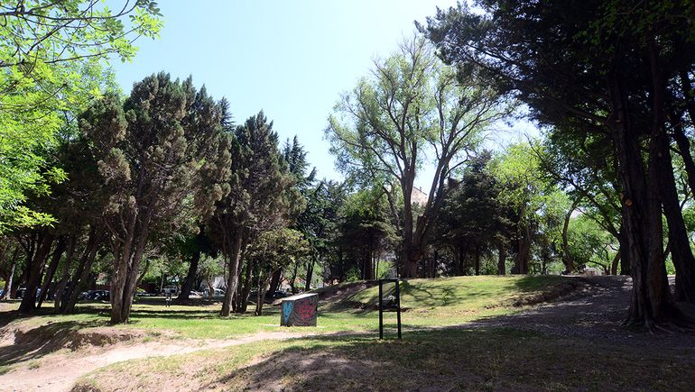 La forestación es clave para compensar la huella de carbono, según explicó Pablo Cervi.