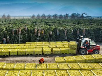 La estabilización económica abre nuevas oportunidades, pero la falta de inversión y competitividad siguen siendo obstáculos clave. La estabilización económica abre nuevas oportunidades, pero la falta de inversión y competitividad siguen siendo obstáculos clave.
