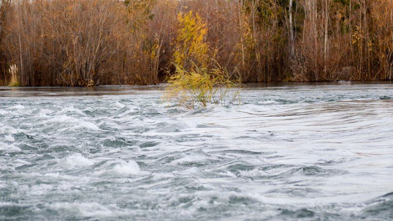 Muerte del taxista en el Limay: ¿qué dijo la autopsia?