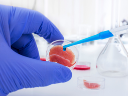 El bagazo cervecero representa el 85% de los residuos sólidos de la industria cervecera. El bagazo cervecero representa el 85% de los residuos sólidos de la industria cervecera.