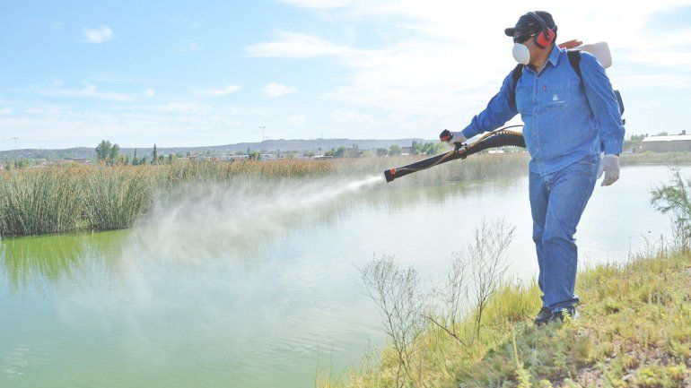 El operativo se llevará a otros puntos de la ciudad.