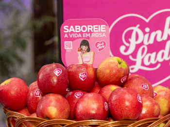 La estrategia busca fortalecer la presencia de la marca en uno de los mercados más importantes para la fruta chilena, mediante alianzas con importadores, supermercados y actores clave del retail brasileño.