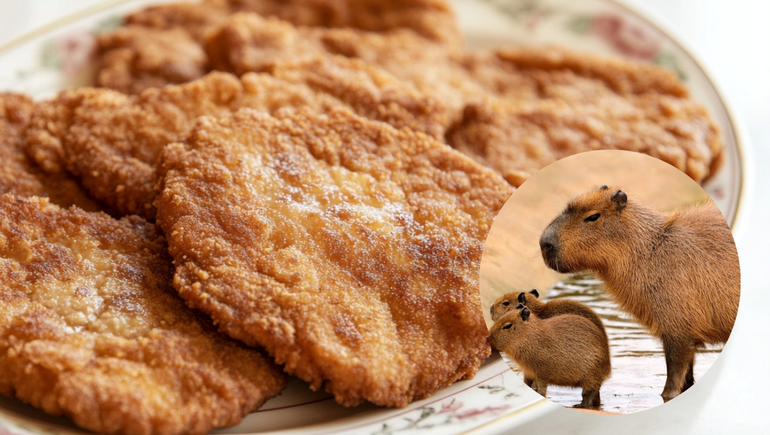 Vendían milanesas de carpinchos: rescataron dos crías y encontraron nutrias en un freezer