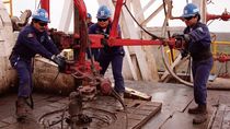 Los yacimientos de Vaca Muerta son responsables del crecimiento de la producción nacional de gas y petróleo