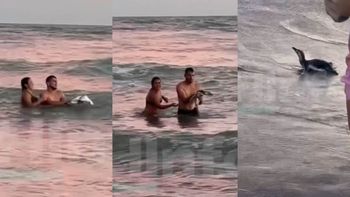 La foto con el pingüino desató indignación en las redes sociales. La foto con el pingüino desató indignación en las redes sociales.