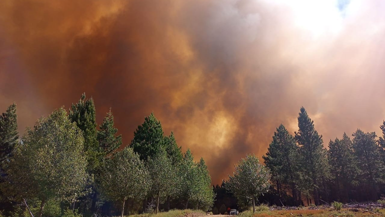 Si no se los apaga con medios aéreos, el fuego va a seguir avanzando