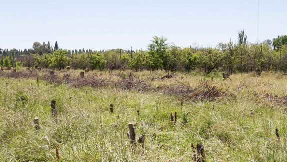 Chacareros que no producen no quieren pagar impuestos