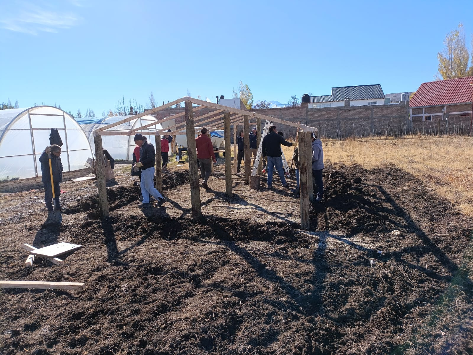 Las baterías de invernaderos concentran la actividad productiva de las familias participantes en un mismo predio.