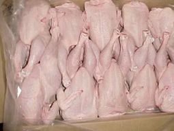 El municipio clausuró una distribuidora en la que había más de 70 toneladas de pollo en mal estado. El municipio clausuró una distribuidora en la que había más de 70 toneladas de pollo en mal estado.