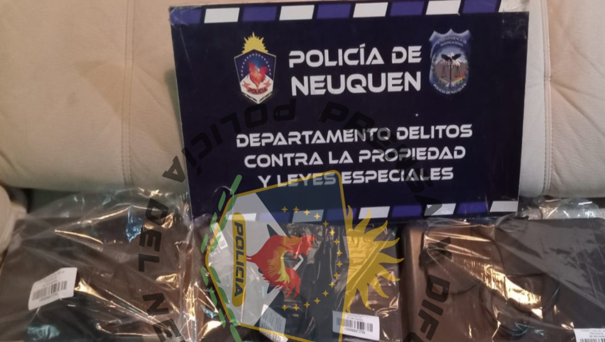 Allanamiento en Valentina Sur: se recuperaron elementos robados y un hombre fue demorado