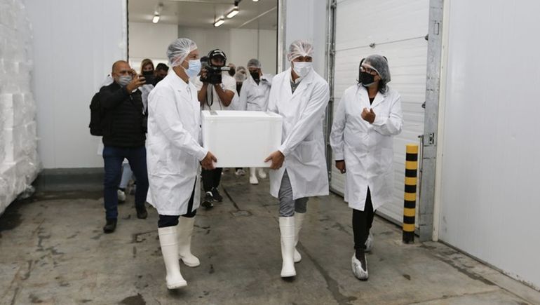 De Piedra del Águila a EE.UU y Japón: inauguraron la planta de procesamiento de truchas