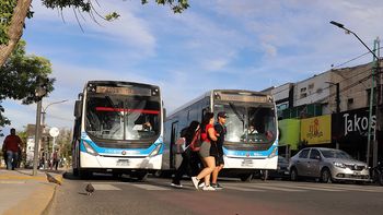 navidad: como sera la recoleccion de residuos y servicios municipales durante los proximos dias navidad: como sera la recoleccion de residuos y servicios municipales durante los proximos dias