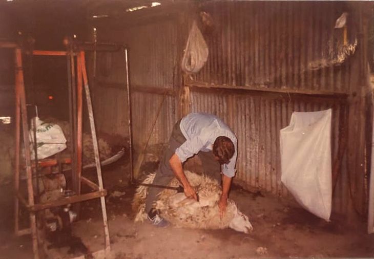 Con lo ganado en la esquila se compró sus primeras 7 vacas. Foto: gentileza Con lo ganado en la esquila se compró sus primeras 7 vacas. Foto: gentileza