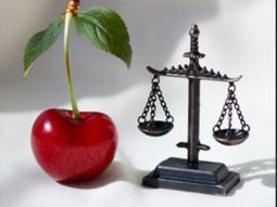 lo que comenzo como un negocio de cerezas termino en una guerra judicial