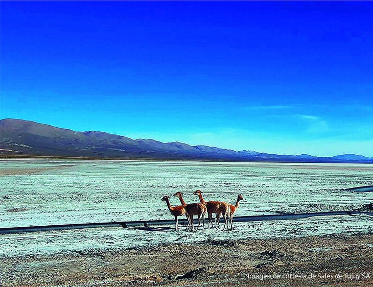 19 de los 27 proyectos latinoamericanos con inicio hasta 2030 se ubican en territorio argentino. 19 de los 27 proyectos latinoamericanos con inicio hasta 2030 se ubican en territorio argentino.
