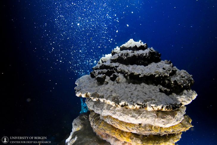 Fuentes hidrotermales submarinas: ecosistemas vitales en riesgo por la extracción de cobre