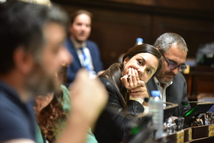 La diputada Ayelén Rasquetti. (Foto: Diputados Bonaerenses)