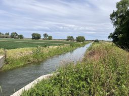 El DPA anunció el primer canal en Pomona para llevar agua a 37.000 has de Colonia Josefa. La licitación se espera para el primer semestre de 2026. El DPA anunció el primer canal en Pomona para llevar agua a 37.000 has de Colonia Josefa. La licitación se espera para el primer semestre de 2026.