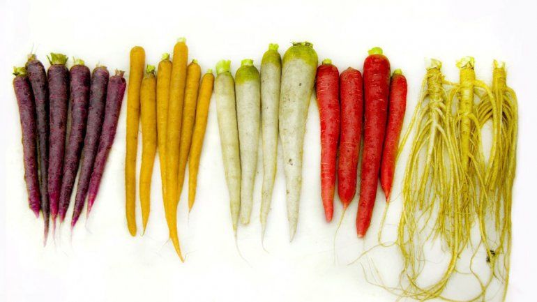 La pigmentación está relacionada con las propiedades nutricionales.&nbsp;