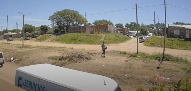 Uno de los perros cayó al suelo y comenzó a convulsionar tras el ataque.&nbsp;