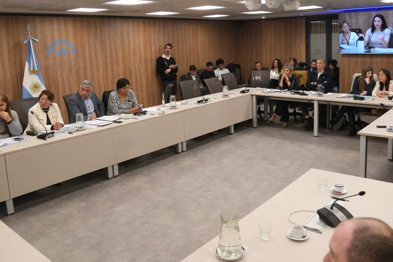 Reunión de la comisión Bicameral del Defensor de los Derechos de Niñas, Niños y Adolescentes en la que descabezaron a las autoridades de esa Defensoría. Reunión de la comisión Bicameral del Defensor de los Derechos de Niñas, Niños y Adolescentes en la que descabezaron a las autoridades de esa Defensoría.