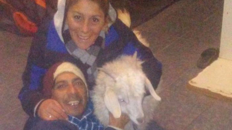 Apareció el chivo Pastelito, lo tenían unos vecinos