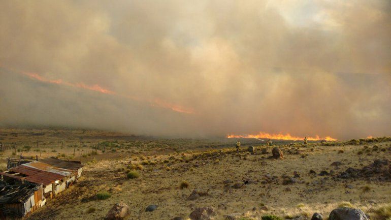 Preocupación por más de mil hectáreas que se incendiaron cerca de Loncopué