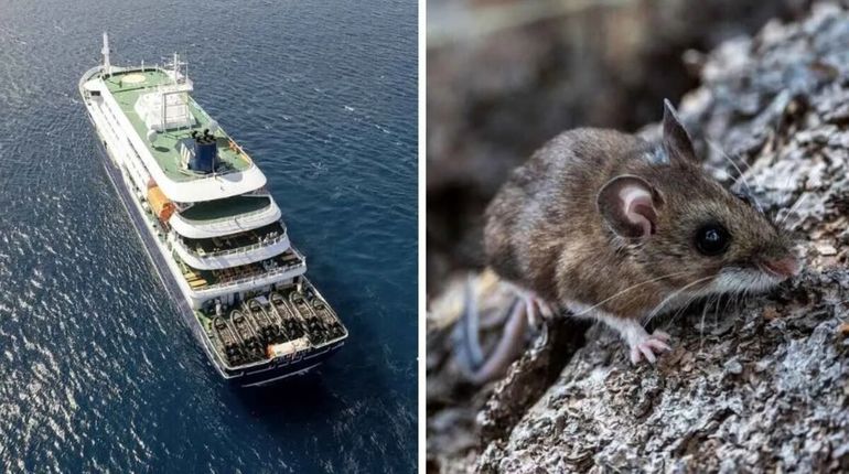 El crucero MV Hondius quedó bajo investigación internacional tras los casos de hantavirus detectados entre pasajeros extranjeros.