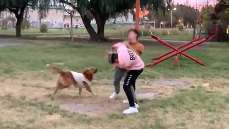 Se dan con todo en las plazas a la salida del colegio.