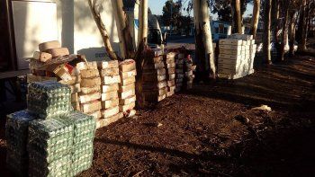 el senasa decomiso 2,7 toneladas de comida y 735 docenas de huevos el senasa decomiso 2,7 toneladas de comida y 735 docenas de huevos