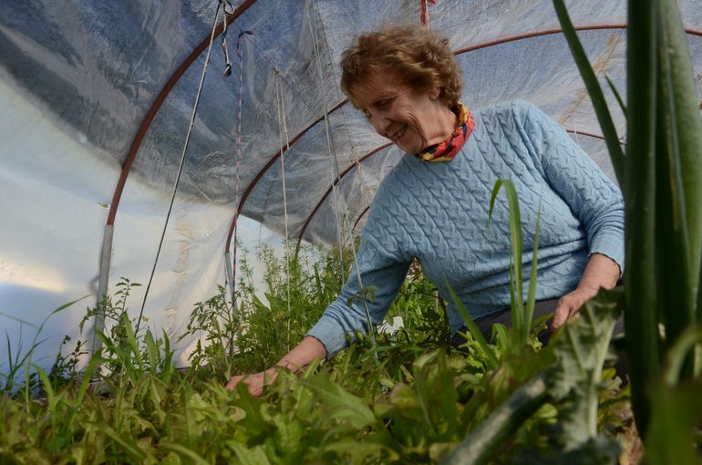 Los cuidados del romero son muy sencillos si le damos lo que necesita: mucho sol, poca agua y una tierra con buen drenaje. Los cuidados del romero son muy sencillos si le damos lo que necesita: mucho sol, poca agua y una tierra con buen drenaje.