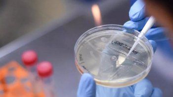 la cepa delta del covid-19 es hasta un 60% mas contagiosa la cepa delta del covid-19 es hasta un 60% mas contagiosa