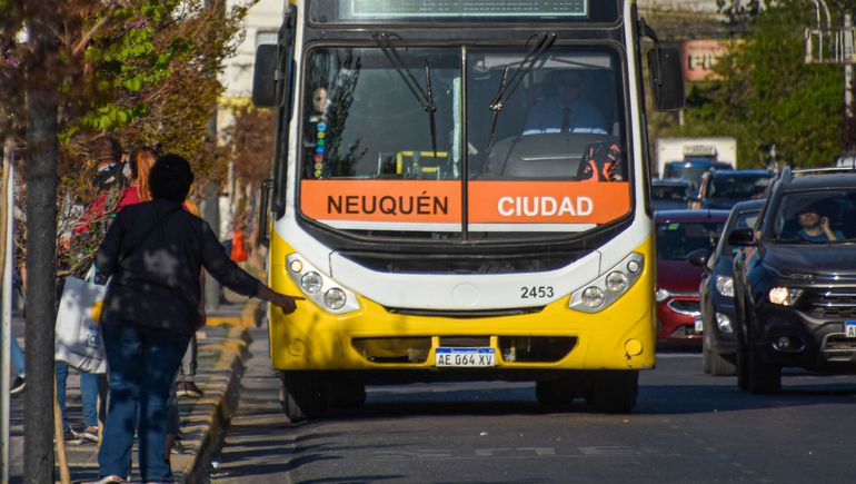 Cómo funcionan coles y comercios este viernes y sábado