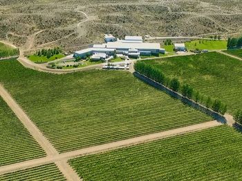 Bodega Familia Schroeder, destacada en la Patagonia. Foto: Familia Schroeder