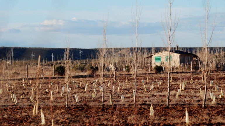 La Colonia San Francisco