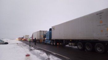 camiones varados en pino hachado