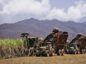Convenio CONICET-Ledesma: de residuos industriales a soluciones verdes para todos.