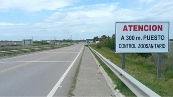 Las barreras sanitarias impuestas para la región patagónica evitaban el ingreso de carne con hueso. Las barreras sanitarias impuestas para la región patagónica evitaban el ingreso de carne con hueso.