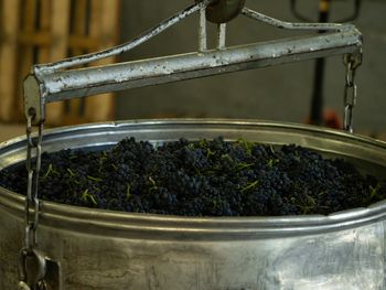 Mendoza y San Juan acordaron destinar 17% de vino a mosto y a otros subproductos.