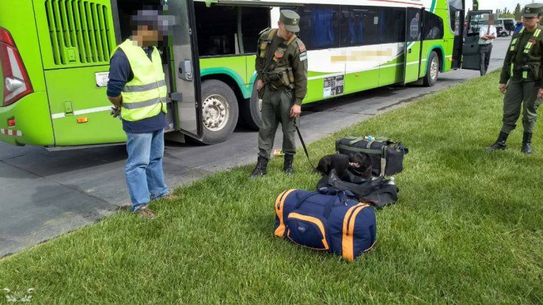 Viajaba en colectivo rumbo a Bariloche con un kilo de cocaína: fue detenida en Neuquén