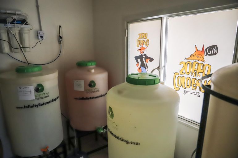 En su propia destilería de Neuquén producen 400 litros de gin por semana. En su propia destilería de Neuquén producen 400 litros de gin por semana.